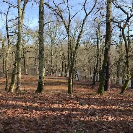 Du Val De L'eyre Salles (Gironde)