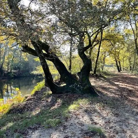 Du Val De L'eyre Campsite