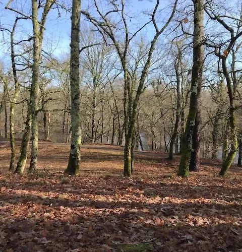 Du Val De L'eyre 萨莱