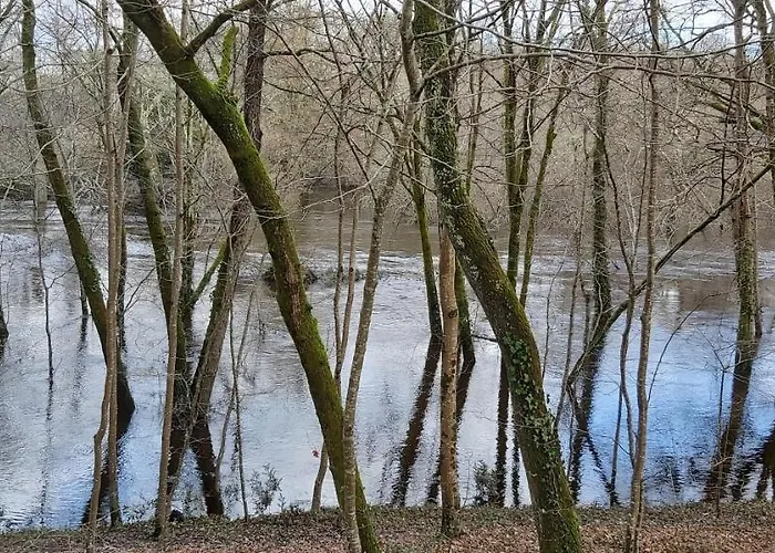 Du Val De L'eyre 萨莱